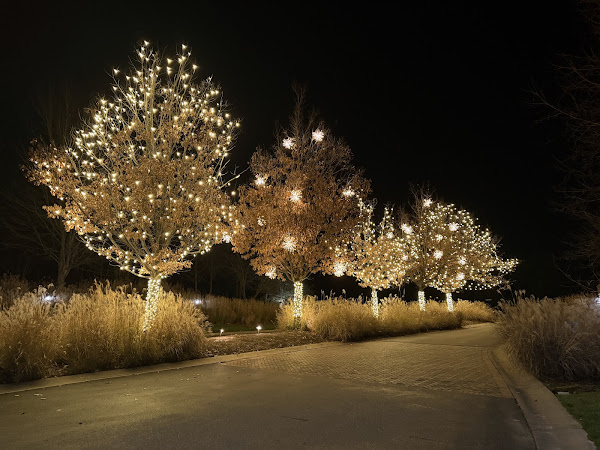 Christmas lighting photo 1 shared by Kassie Hash on Google