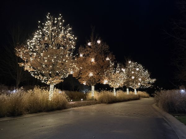 Show Me Christmas Lights project 070 from our selected installation collection